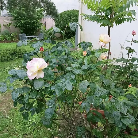 Villa La Maison Des Roses Nantes